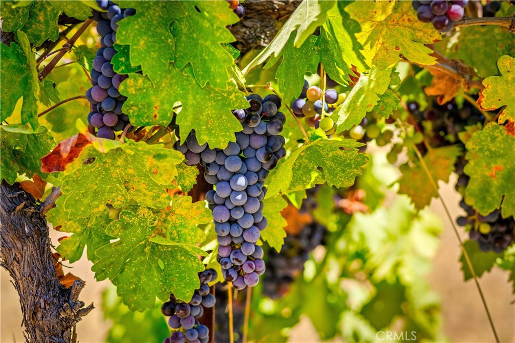 https://media.crmls.org/medias/427d27c0-f544-468b-86f0-bcd60901ac6f.jpg?preset=X-Large