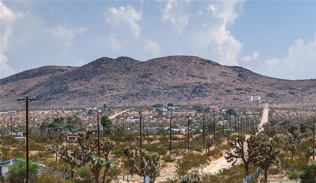 MLS #JT25255272 image #26