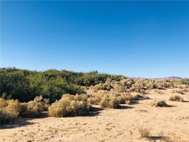 Detail Gallery Image 7 of 10 For 0 E of Mesquite Ave, Twentynine Palms,  CA 92277 - – Beds | – Baths