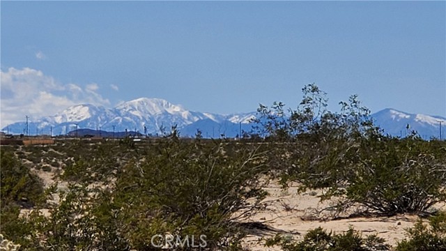 Detail Gallery Image 1 of 12 For 0 Taylor Ln, Twentynine Palms,  CA 92277 - – Beds | – Baths