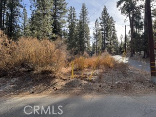 MLS #CV25008314 img 1