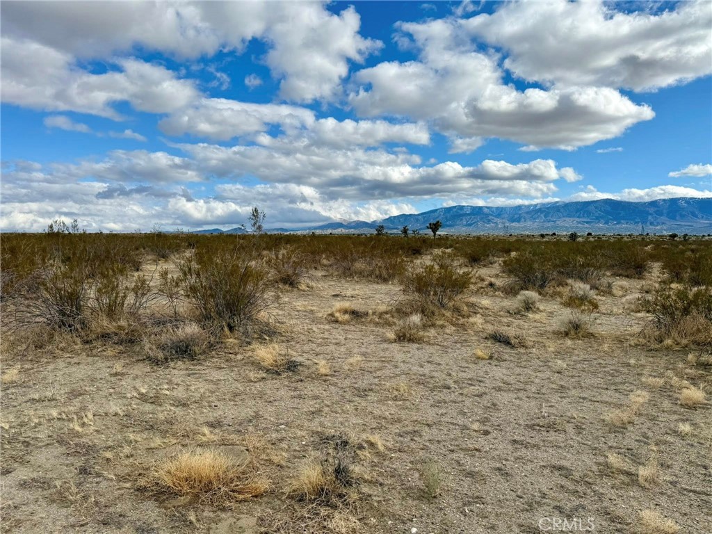 MLS #HD25097257 image #3