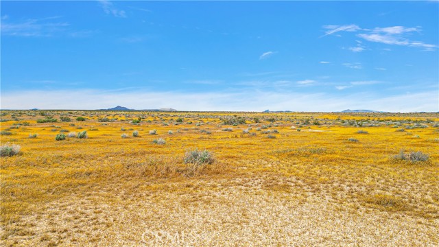 Detail Gallery Image 14 of 16 For 7 Near Powerline Rd, Boron,  CA 93516 - – Beds | – Baths