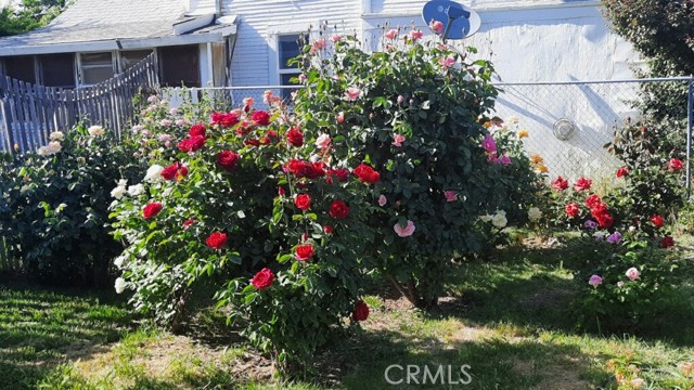 159 S Shasta S Street, Willows CA: https://media.crmls.org/medias/42899f5d-a867-4b74-b414-06ed8444bde1.jpg
