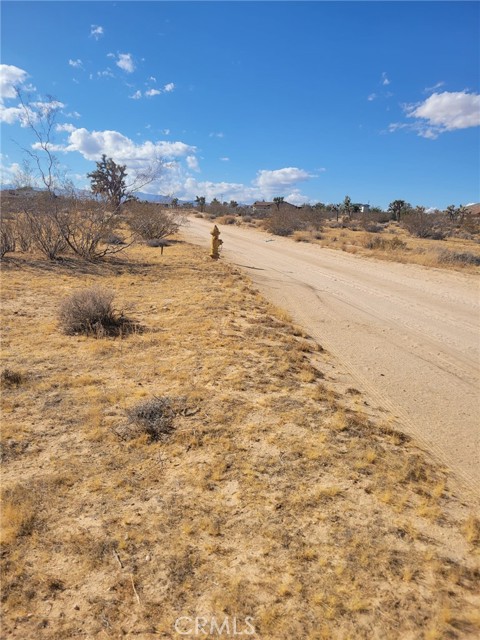 Front Image Thumbnail for CRNP25277296