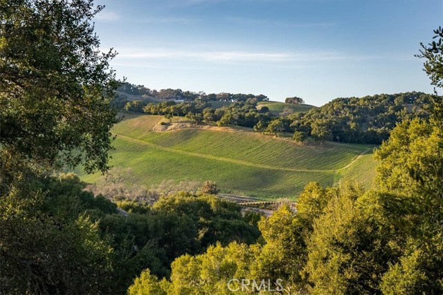 Image 43 of 46 For 8850 San Gregorio Road