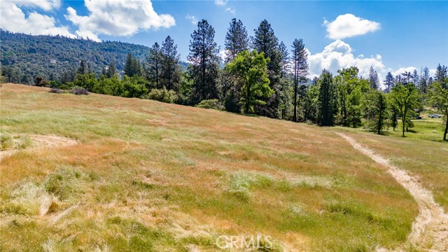 Detail Gallery Image 48 of 74 For 3122 Triangle Park Rd, Mariposa,  CA 95338 - 2 Beds | 1 Baths