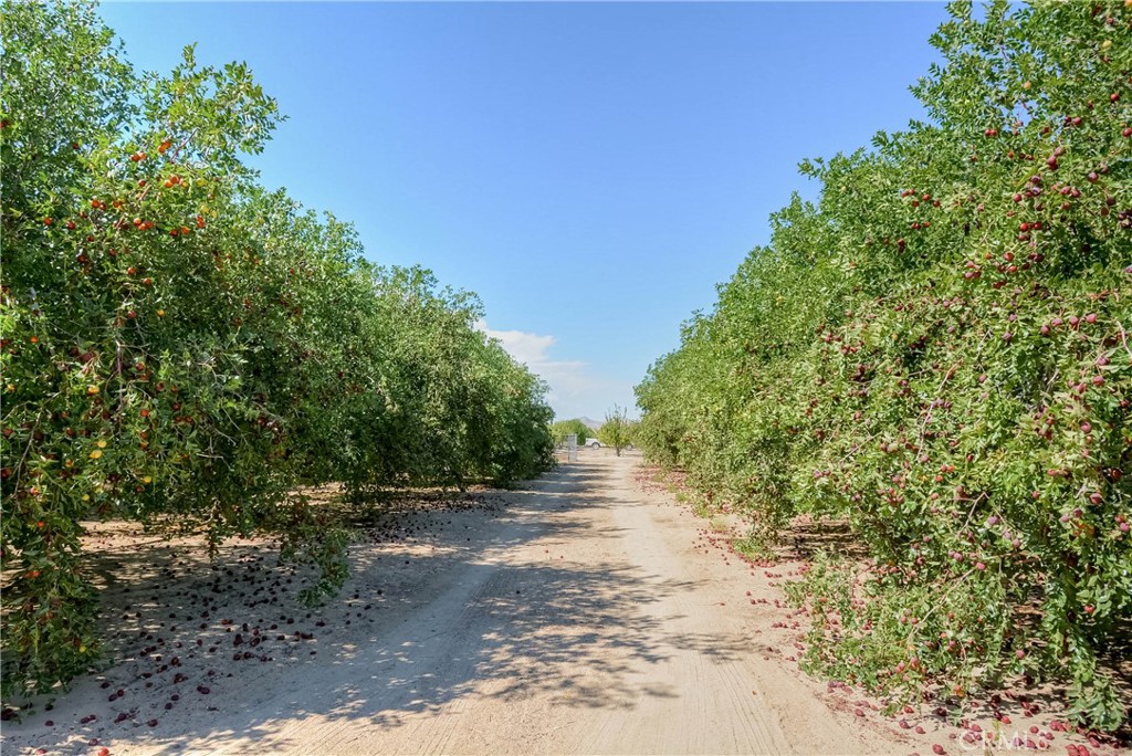https://media.crmls.org/medias/4294ba81-80d2-44d5-ab0d-cc8bd30bdcb4.jpg?preset=X-Large