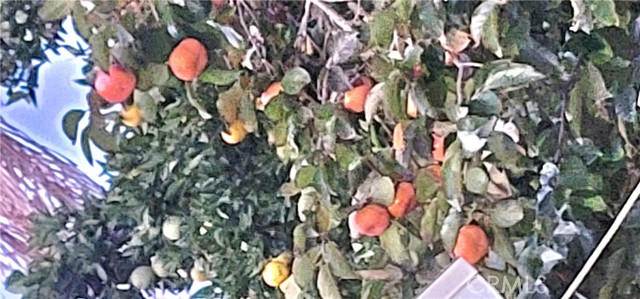 Detail Gallery Image 25 of 41 For 10181 Larson Ave, Garden Grove,  CA 92843 - 4 Beds | 4 Baths