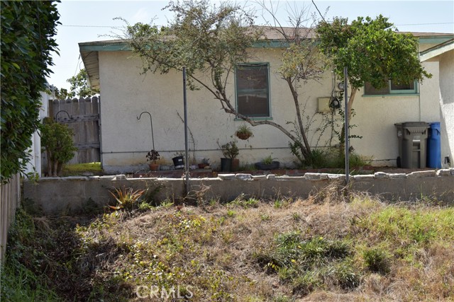 Backyard facing the back of the house