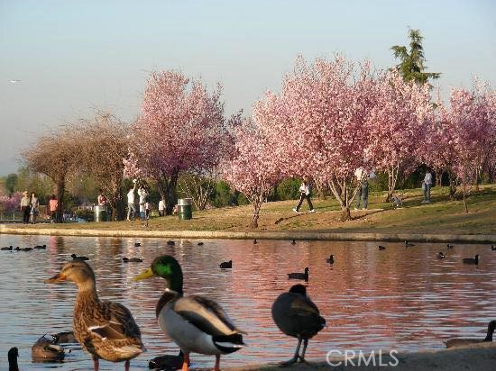 Detail Gallery Image 10 of 11 For 7406 Haskell, Van Nuys,  CA 91406 - 3 Beds | 2 Baths