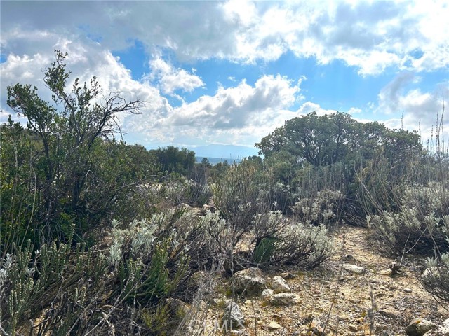 Detail Gallery Image 19 of 29 For 0 Oak Rd, Anza,  CA 92539 - – Beds | – Baths