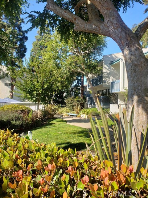 900 Camino Real, Redondo Beach, California 90277, 2 Bedrooms Bedrooms, ,2 BathroomsBathrooms,Residential,Sold,Camino Real,IN21194748