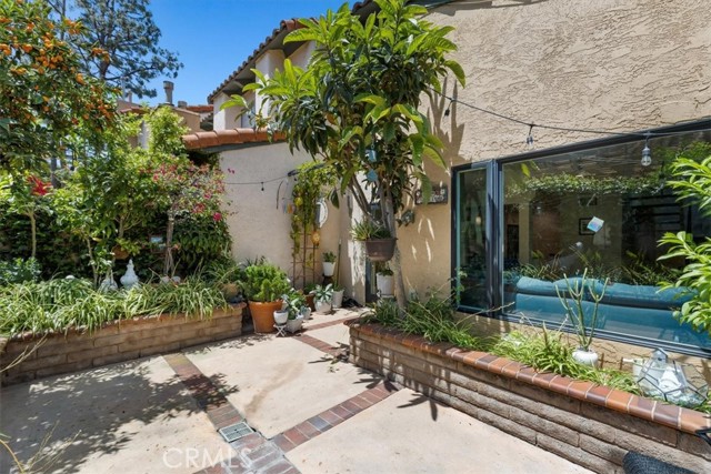 Patio with fruit trees