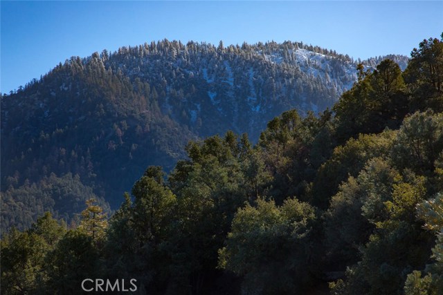 Detail Gallery Image 6 of 18 For 1824 Saint Anton Dr, –,  CA 93222 - – Beds | – Baths