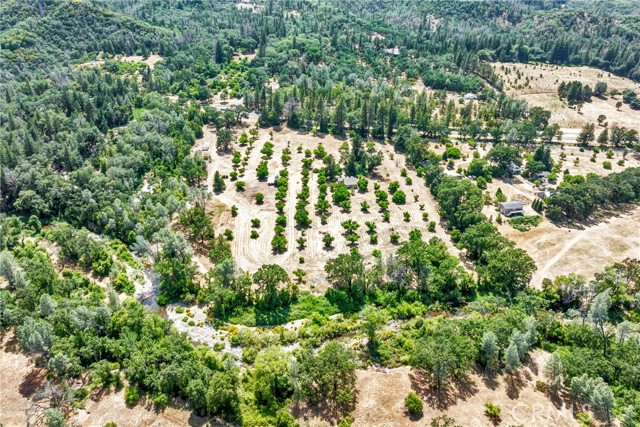 22550 Shady Grove Road, Middletown CA: https://media.crmls.org/medias/42b528b8-f90f-48a8-af1b-34da3664de05.jpg