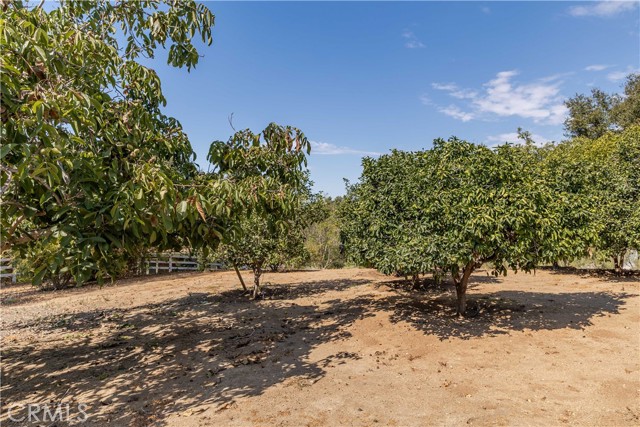 Detail Gallery Image 49 of 62 For 1581 Sycamore Dr, Fallbrook,  CA 92028 - 4 Beds | 2 Baths