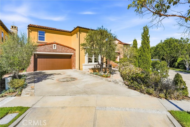 Front Image Thumbnail for CROC26061748