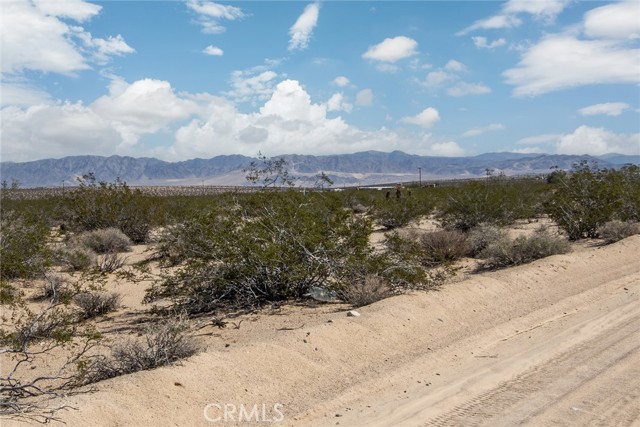 0 Brants Cross Road, Joshua Tree CA: https://media.crmls.org/medias/42cd20e6-cb77-4f3d-95e4-db949fdc8dde.jpg