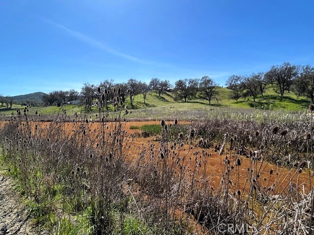 Detail Gallery Image 6 of 9 For 355 Pine Ridge, Lakeport,  CA 95453 - – Beds | – Baths