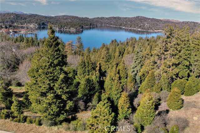 Detail Gallery Image 10 of 31 For 149 Mill Pond Rd, Lake Arrowhead,  CA 92352 - – Beds | – Baths