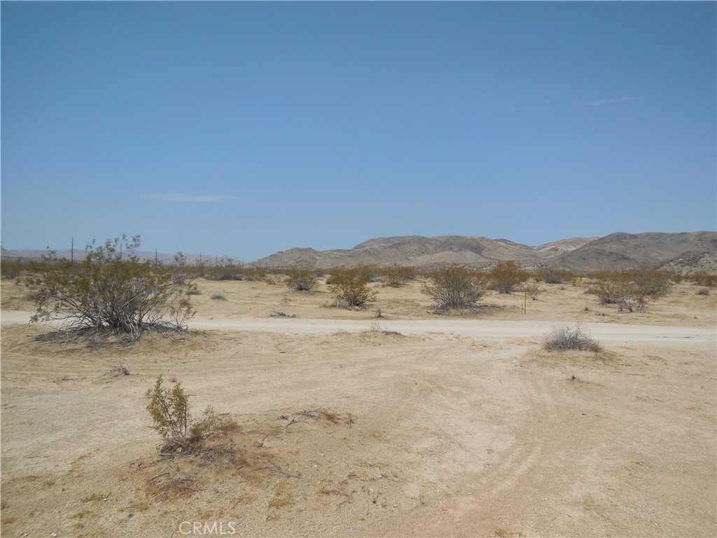 MLS #OC24137495 image #9