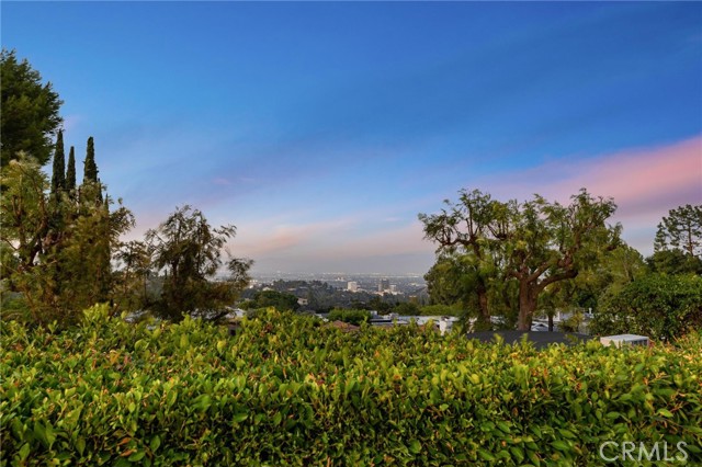 Detail Gallery Image 54 of 55 For 16244 Dorilee Ln, Encino,  CA 91436 - 4 Beds | 4 Baths