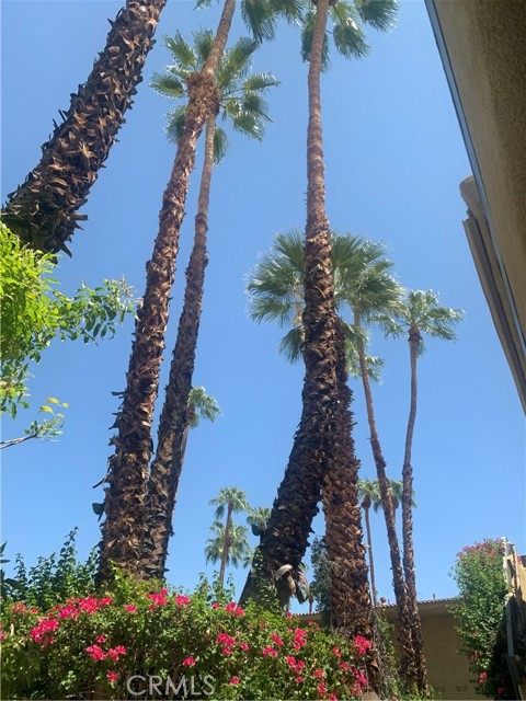 Image 15 for 1900 Palm Canyon DR #4