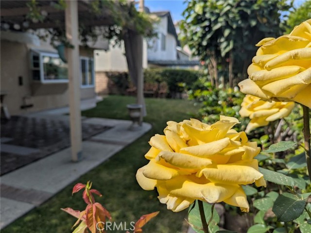 4 Henry, Irvine CA: https://media.crmls.org/medias/42db40ca-a737-4e2a-8336-16a334ddccbd.jpg