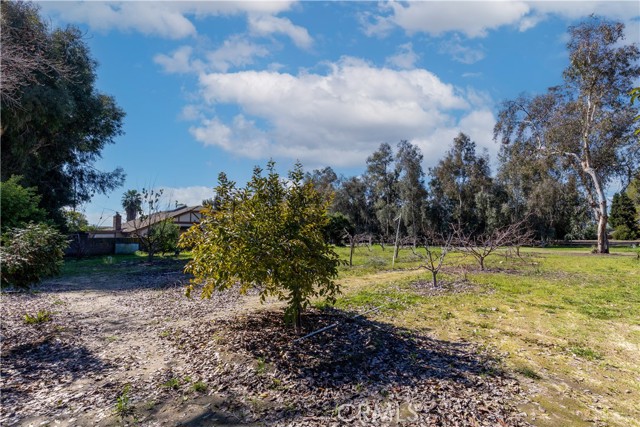 Detail Gallery Image 53 of 70 For 11667 Francis Way, Chino,  CA 91710 - 3 Beds | 2 Baths