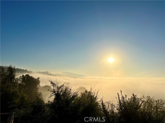 918 Dorothea Road, La Habra Heights CA: https://media.crmls.org/medias/42e3fa62-81a9-45dd-8b54-b84fe5ebde8e.jpg