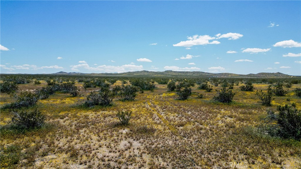 MLS #ND25194881 image #5