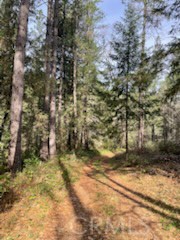 Detail Gallery Image 7 of 7 For 178 Bloomer Hill Rd, Berry Creek,  CA 95916 - – Beds | – Baths