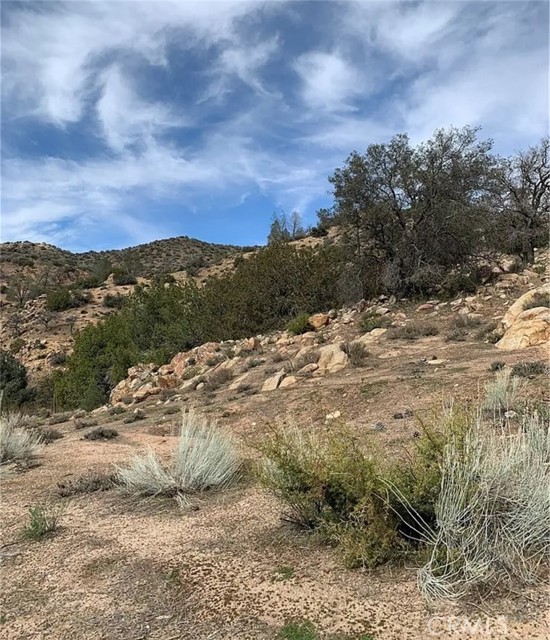 Detail Gallery Image 2 of 3 For 10900 Back Canyon Rd, Caliente,  CA 93518 - – Beds | – Baths