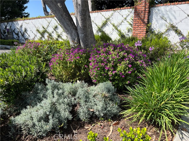 Detail Gallery Image 49 of 64 For 33952 Cape Cove, Dana Point,  CA 92629 - 3 Beds | 2/1 Baths
