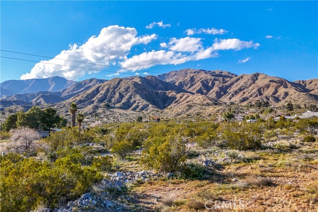 Detail Gallery Image 36 of 70 For 8949 Desert Willow Trl, Morongo Valley,  CA 92256 - 3 Beds | 2 Baths