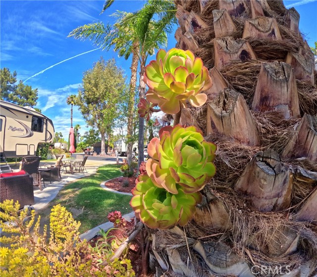 Detail Gallery Image 6 of 16 For 45525 Highway 79 Lot 2, Aguanga,  CA 92536 - – Beds | – Baths