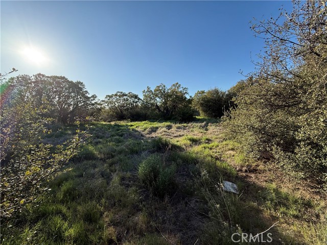 Detail Gallery Image 4 of 20 For 3 Chihuahua Valley Rd, Warner Springs,  CA 92086 - – Beds | – Baths