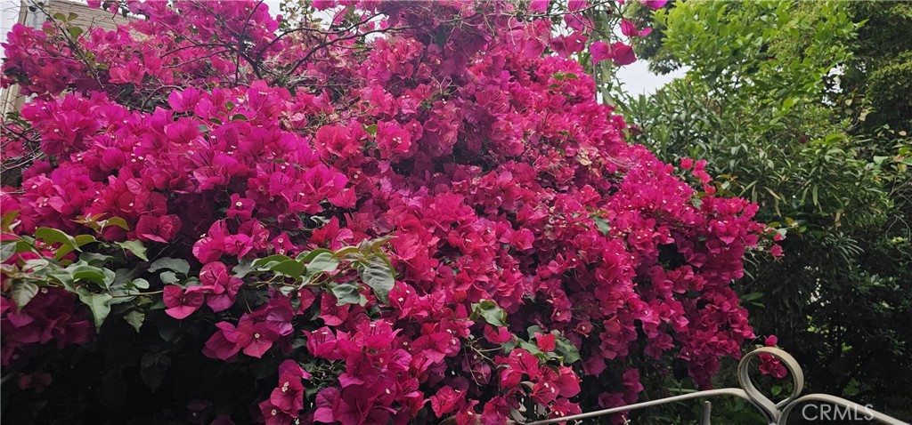 https://media.crmls.org/medias/42fed8a0-2c75-48e9-b762-b1588a55583e.jpg?preset=X-Large