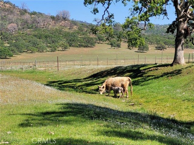20416 Hunt, Copperopolis, CA, 95228 20416 Hunt, Copperopolis, CA, 95228