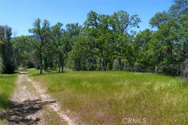 Detail Gallery Image 1 of 1 For 0 11.84 Ac Road 425a, Oakhurst,  CA 93644 - – Beds | – Baths