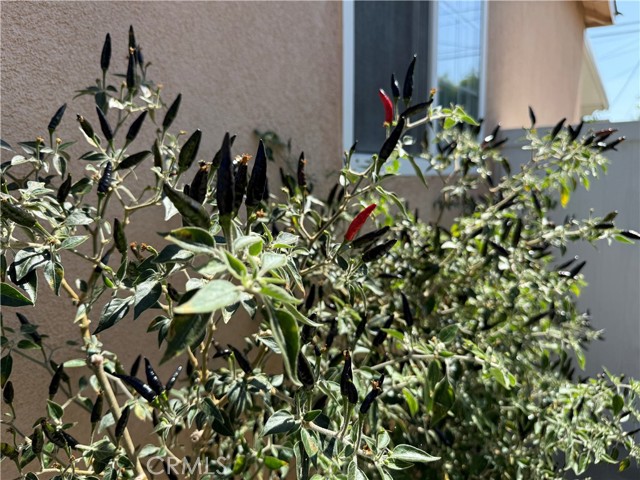 4736 Vangold Avenue, Lakewood CA: https://media.crmls.org/medias/430513b8-47d2-4064-9820-d63af08c385f.jpg