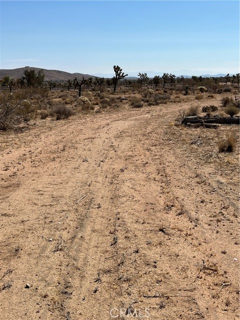 Detail Gallery Image 6 of 11 For 2801 Avalon Ave, Yucca Valley,  CA 92284 - – Beds | – Baths