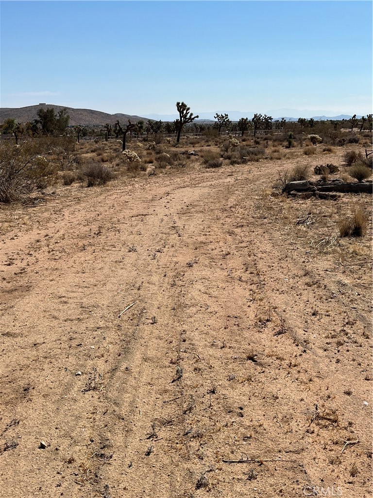 MLS #JT25190838 image #5