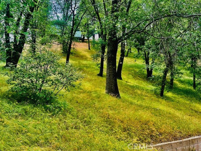 470 Dunant Drive, Crestline CA: https://media.crmls.org/medias/430ae370-e002-4eae-91f9-a3bf4d79a1cc.jpg