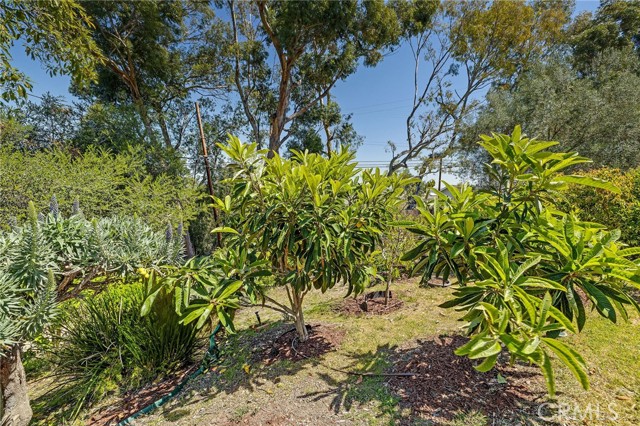 Detail Gallery Image 22 of 23 For 4321 via Azalea, Palos Verdes Estates,  CA 90274 - 4 Beds | 4 Baths