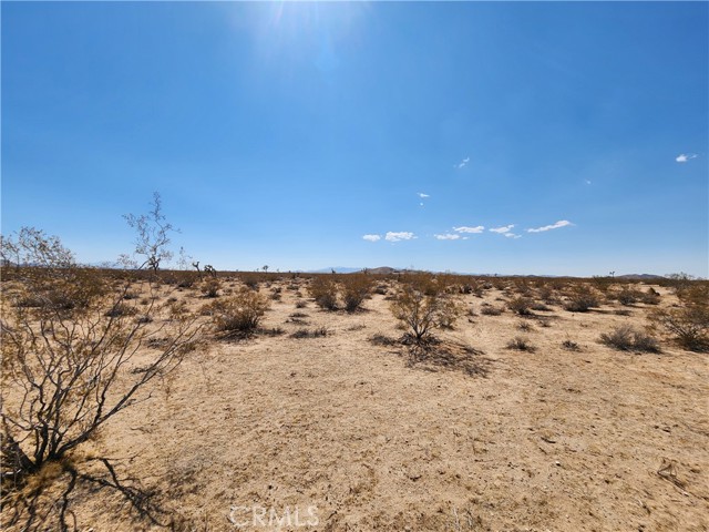 2025 Mcgarry Road, Joshua Tree CA: https://media.crmls.org/medias/431206eb-6411-4ac0-ace1-79503e083f9c.jpg