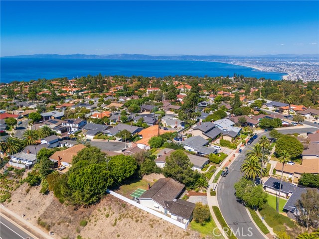 27945 Alvarez photo 53