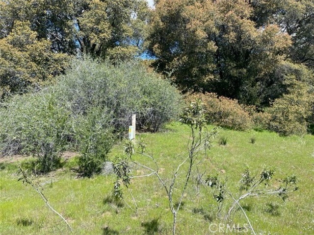 Detail Gallery Image 9 of 14 For 0 77.73 Ac Two Hills Rd, North Fork,  CA 93643 - – Beds | – Baths