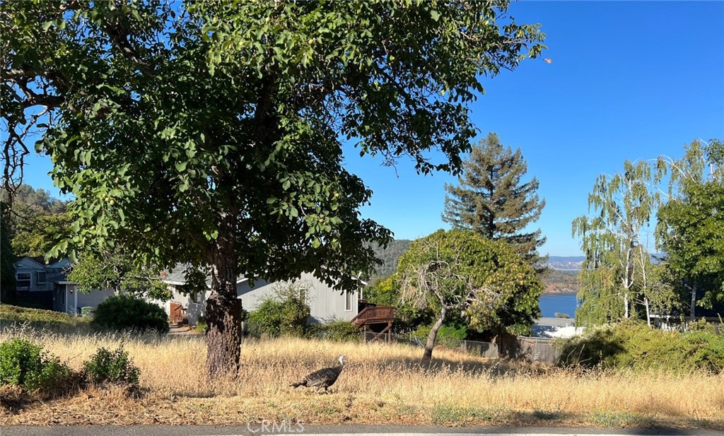 4325D53A 028E 4273 94Ce A9F3E7D6D373 7190 Riviera Heights, Kelseyville, Ca 95451 &Lt;Span Style='BackgroundColor:transparent;Padding:0Px;'&Gt; &Lt;Small&Gt; &Lt;I&Gt; &Lt;/I&Gt; &Lt;/Small&Gt;&Lt;/Span&Gt;